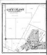 Flint City - North - Left, Genesee County 1907 Microfilm